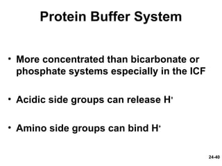 24-40
Protein Buffer System
• More concentrated than bicarbonate or
phosphate systems especially in the ICF
• Acidic side groups can release H+
• Amino side groups can bind H+
 