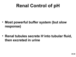 24-42
Renal Control of pH
• Most powerful buffer system (but slow
response)
• Renal tubules secrete H+
into tubular fluid,
then excreted in urine
 