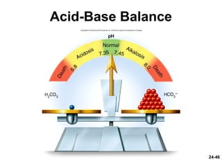 24-46
Acid-Base Balance
 