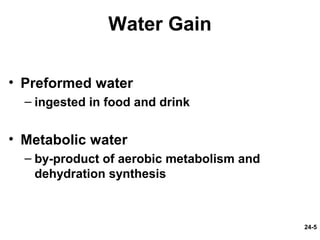 24-5
Water Gain
• Preformed water
– ingested in food and drink
• Metabolic water
– by-product of aerobic metabolism and
dehydration synthesis
 