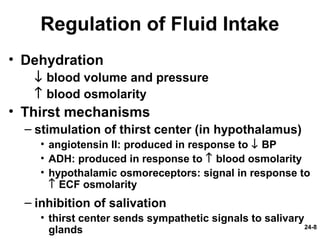 24-8
Regulation of Fluid Intake
• Dehydration
↓ blood volume and pressure
↑ blood osmolarity
• Thirst mechanisms
– stimulation of thirst center (in hypothalamus)
• angiotensin II: produced in response to ↓ BP
• ADH: produced in response to ↑ blood osmolarity
• hypothalamic osmoreceptors: signal in response to
↑ ECF osmolarity
– inhibition of salivation
• thirst center sends sympathetic signals to salivary
glands
 