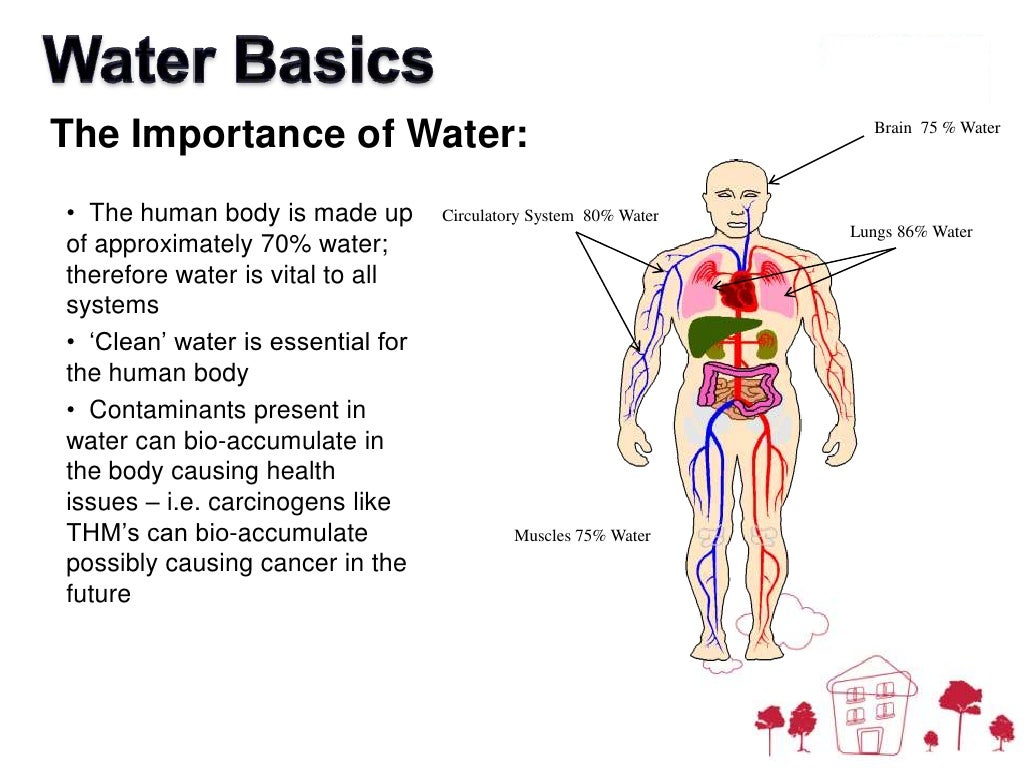 Water Basics