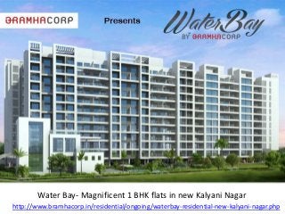 Water Bay- Magnificent 1 BHK flats in new Kalyani Nagar
http://www.bramhacorp.in/residential/ongoing/waterbay-residential-new-kalyani-nagar.php

 
