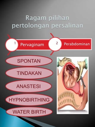 1                 2   Perabdominan
      Pervaginam


     SPONTAN

     TINDAKAN

     ANASTESI

HYPNOBIRTHING

 WATER BIRTH
 