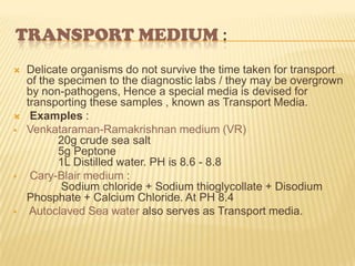 Water borne diseases