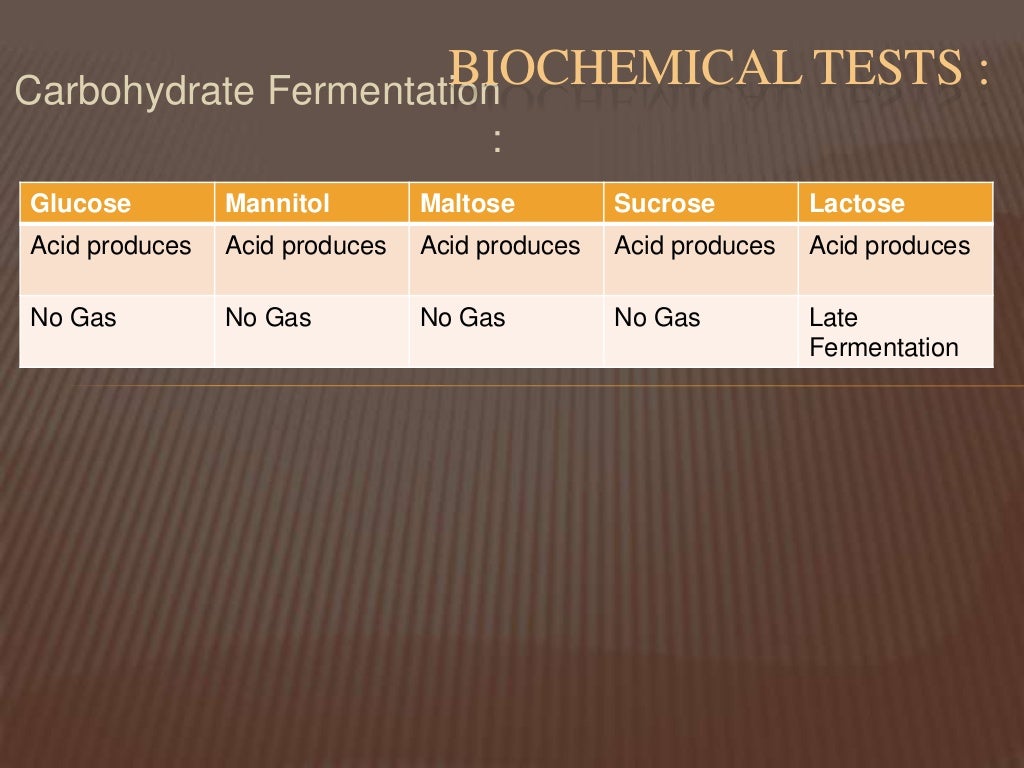 Water borne diseases