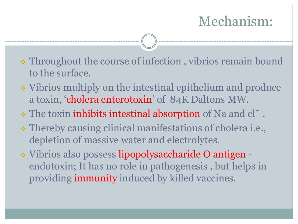 Water borne diseases