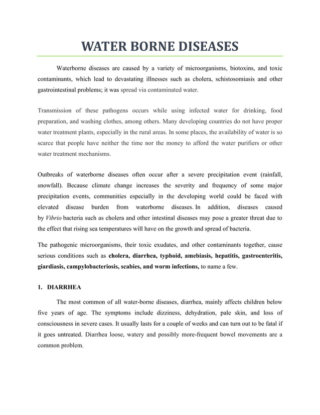 water borne diseases research paper