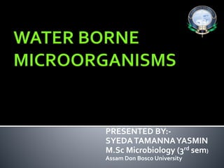 PRESENTED BY:-
SYEDATAMANNAYASMIN
M.Sc Microbiology (3rd sem)
Assam Don Bosco University
 