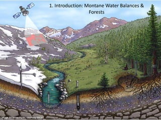 1. Introduction: Montane Water Balances &
Forests
Image by Jenny Parks, courtesy SSCZO
 