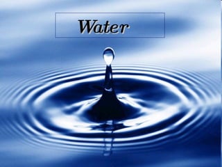 Water 