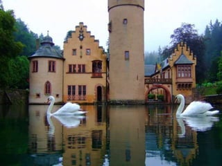 Water Castles