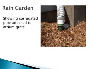 Rain Garden<br />Showing corrugated pipe attached to atrium grate<br />