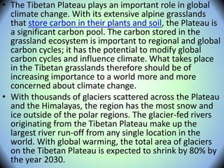 • The Tibetan Plateau plays an important role in global
climate change. With its extensive alpine grasslands
that store carbon in their plants and soil, the Plateau is
a significant carbon pool. The carbon stored in the
grassland ecosystem is important to regional and global
carbon cycles; it has the potential to modify global
carbon cycles and influence climate. What takes place
in the Tibetan grasslands therefore should be of
increasing importance to a world more and more
concerned about climate change.
• With thousands of glaciers scattered across the Plateau
and the Himalayas, the region has the most snow and
ice outside of the polar regions. The glacier-fed rivers
originating from the Tibetan Plateau make up the
largest river run-off from any single location in the
world. With global warming, the total area of glaciers
on the Tibetan Plateau is expected to shrink by 80% by
the year 2030.
 