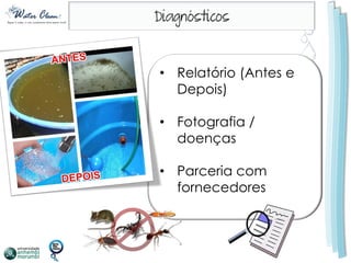 • Relatório (Antes e
  Depois)

• Fotografia /
  doenças

• Parceria com
  fornecedores
 