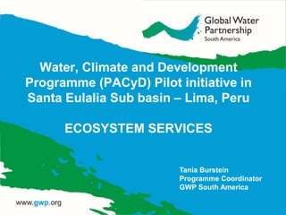 Water, Climate and Development
Programme (PACyD) Pilot initiative in
Santa Eulalia Sub basin – Lima, Peru
ECOSYSTEM SERVICES
Tania Burstein
Programme Coordinator
GWP South America
 