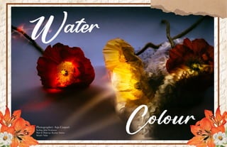 Watercolor editorial | PDF