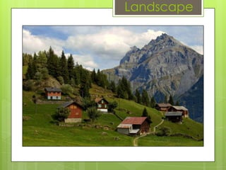 Landscape

 