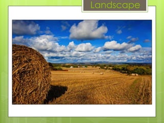 Landscape

 