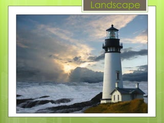 Landscape

 