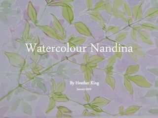 Watercolour Nandina
By Heather King
January 2019
 