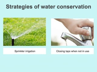 Strategies of water conservation
Sprinkler irrigation Closing taps when not in use
 