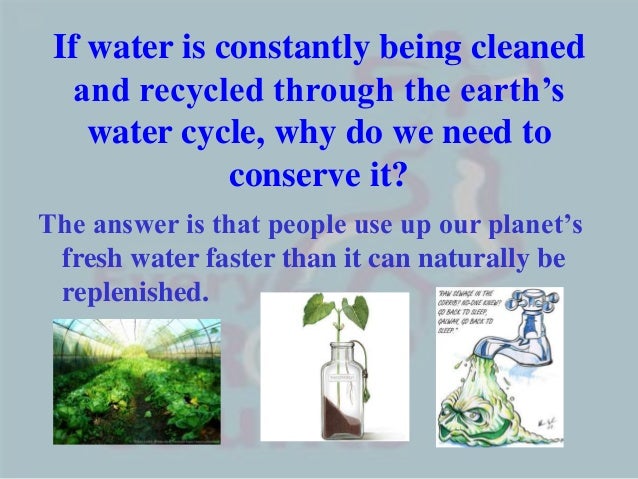 How to save the environment essay
