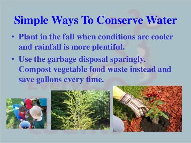 What Can You Use Instead Of Plant Food What Can You Use Instead Of Plant Food