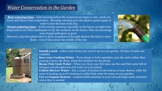 Water Conservation in the Garden
Best watering time - early morning before the temperatures begin to rise, winds are
lower and there is less evaporation. Morning watering gives the plants a good supply of
water to face the heat of the day.
Worst watering time - Avoid evening watering especially on the leaves as night-time
temperatures are often inadequate to dry the moisture on the leaves. This can encourage
some fungal pathogens to grow.
However, any time plants start to show symptoms of drought stress is the time to water
them – even if this means the middle of the day.
Install a tank - collect water from your roof to use in your garden. All sizes of tanks are
available.
Save your Cooking Water - If you steam or boil vegetables, save the water rather than
pouring it down the drain. Great free fertilizer for the plants
Reuse Fish Tank Water - When you clean your fish tank, use the used fish water full of
nitrogen and phosphorous-rich water on your plants.
Collect Shower Water - Put a couple of buckets in the bottom of your shower, while the
water is heating up as it’s running to collect that water for reuse on your garden.
Use a Compost System - compost holds moisture in your soil and helps retain nutrients
where they’re needed
 