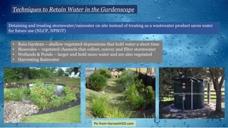 Techniques to Retain Water in the Gardenscape
Detaining and treating stormwater/rainwater on site instead of treating as a wastewater product saves water
for future use (NLCP, NPSOT)
• Rain Gardens – shallow vegetated depressions that hold water a short time
• Bioswales – vegetated channels that collect, convey and filter stormwater
• Wetlands & Ponds – larger and hold more water and are also vegetated
• Harvesting Rainwater
Pic from HarvestH2O.com
 