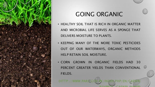 Water Conservation Methods In Agriculture In Pakistan