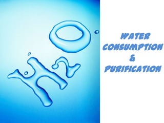   Water consumption &Purification 