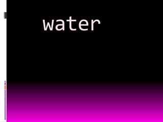 water
 