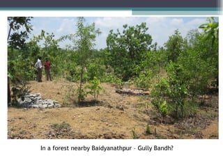 In a forest nearby Baidyanathpur – Gully Bandh?
 