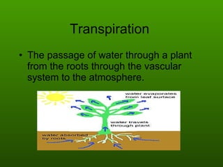 Transpiration  The passage of water through a plant from the roots through the vascular system to the atmosphere. 