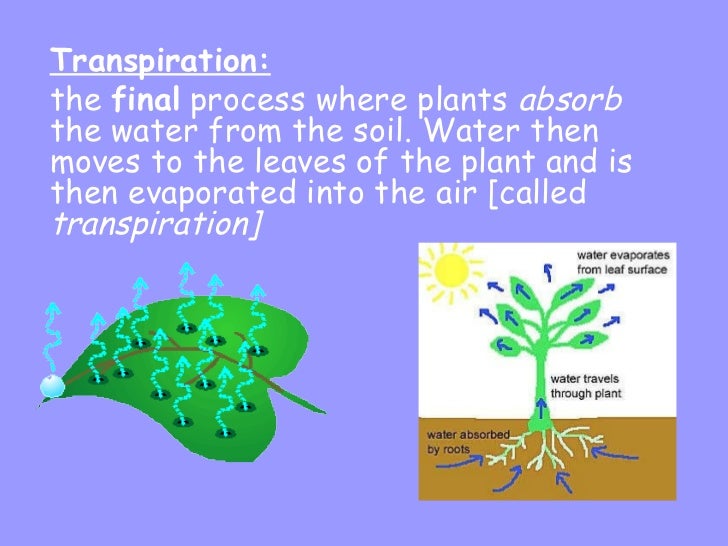 Water cycle