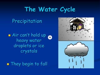 The Water Cycle
    Precipitation

   Air can’t hold up
      heavy water
     droplets or ice
        crystals

   They begin to fall
 