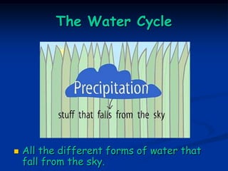 The Water Cycle




   All the different forms of water that
    fall from the sky.
 