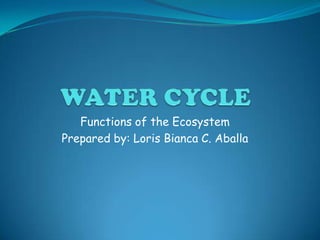 Functions of the Ecosystem
Prepared by: Loris Bianca C. Aballa
 