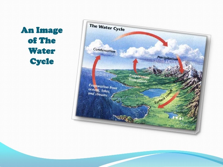 Water cycle