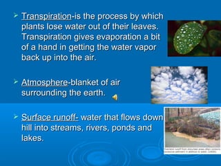    Transpiration-is the process by which
    plants lose water out of their leaves.
    Transpiration gives evaporation a bit
    of a hand in getting the water vapor
    back up into the air.

   Atmosphere-blanket of air
    surrounding the earth.

   Surface runoff- water that flows down
    hill into streams, rivers, ponds and
    lakes.
 