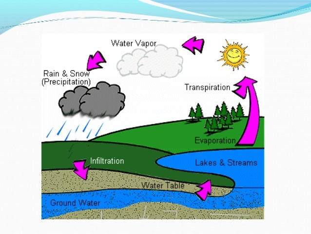 5 for english grade conversation the end cycle All video cycle to water the Water steps with the a at 5 for english grade conversation the end cycle All video cycle to water the Water steps with the a at