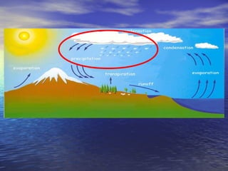 Water cycle