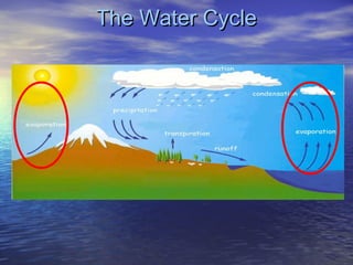 The Water Cycle