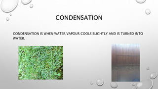 CONDENSATION
CONDENSATION IS WHEN WATER VAPOUR COOLS SLIGHTLY AND IS TURNED INTO
WATER.
 