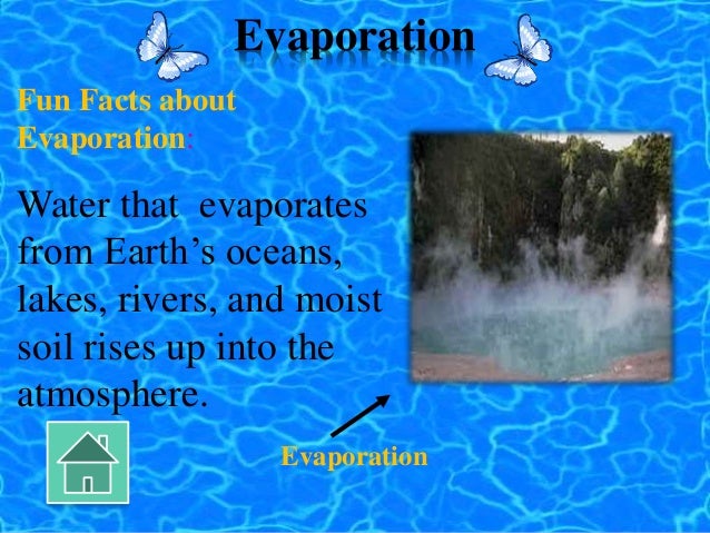 facts about evaporation