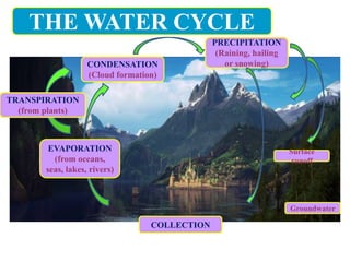 THE WATER CYCLE
EVAPORATION
(from oceans,
seas, lakes, rivers)
CONDENSATION
(Cloud formation)
PRECIPITATION
(Raining, hailing
or snowing)
TRANSPIRATION
(from plants)
COLLECTION
Surface
runoff
Groundwater
 