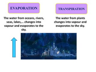 EVAPORATION
The water from oceans, rivers,
seas, lakes,… changes into
vapour and evaporates to the
sky.
TRANSPIRATION
The water from plants
changes into vapour and
evaporates to the sky.
 