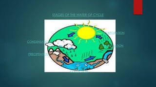 STAGES OF THE WATER OF CYCLE
EVAPORATION
COLLECTION
PRECIPITATION
TRANSPIRATION
CONDENSATION
 