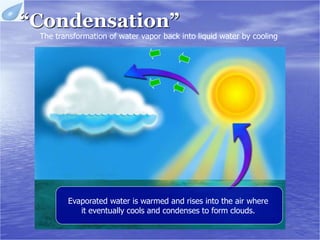 Water cycle | PPTX